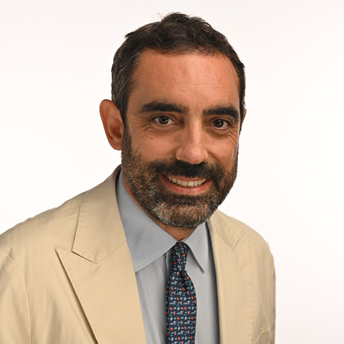 Giulio Stefanini